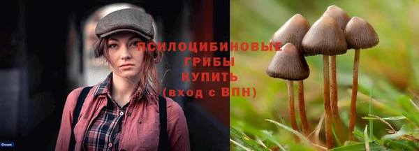 дурь Нея