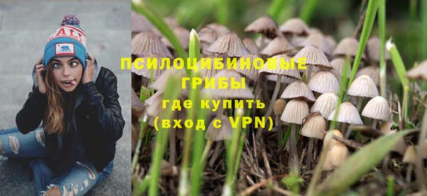 ГАЛЛЮЦИНОГЕННЫЕ ГРИБЫ Нефтекумск